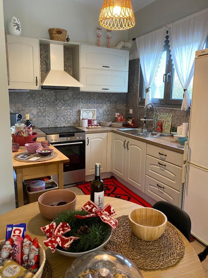 Stellas Guesthouse Near Arachova Stírion Kültér fotó