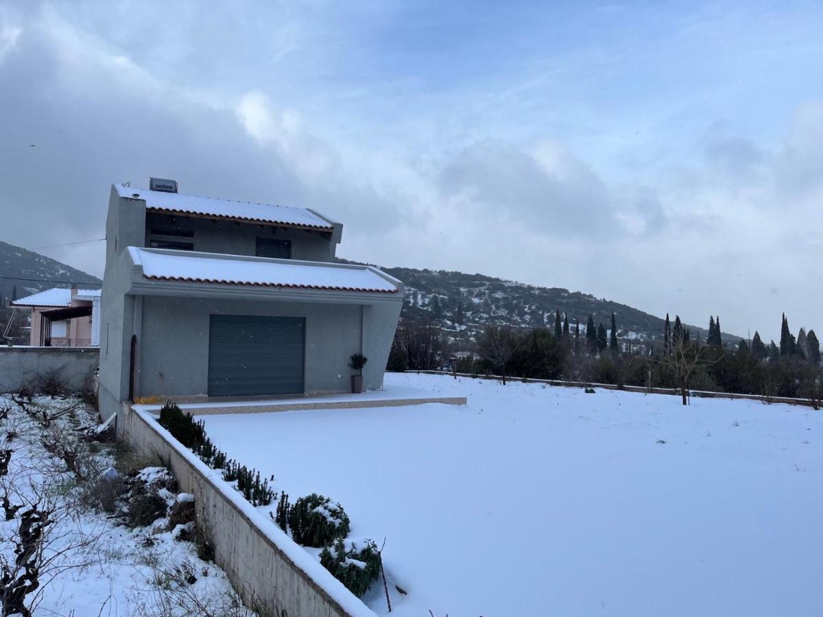 Stellas Guesthouse Near Arachova Stírion Kültér fotó