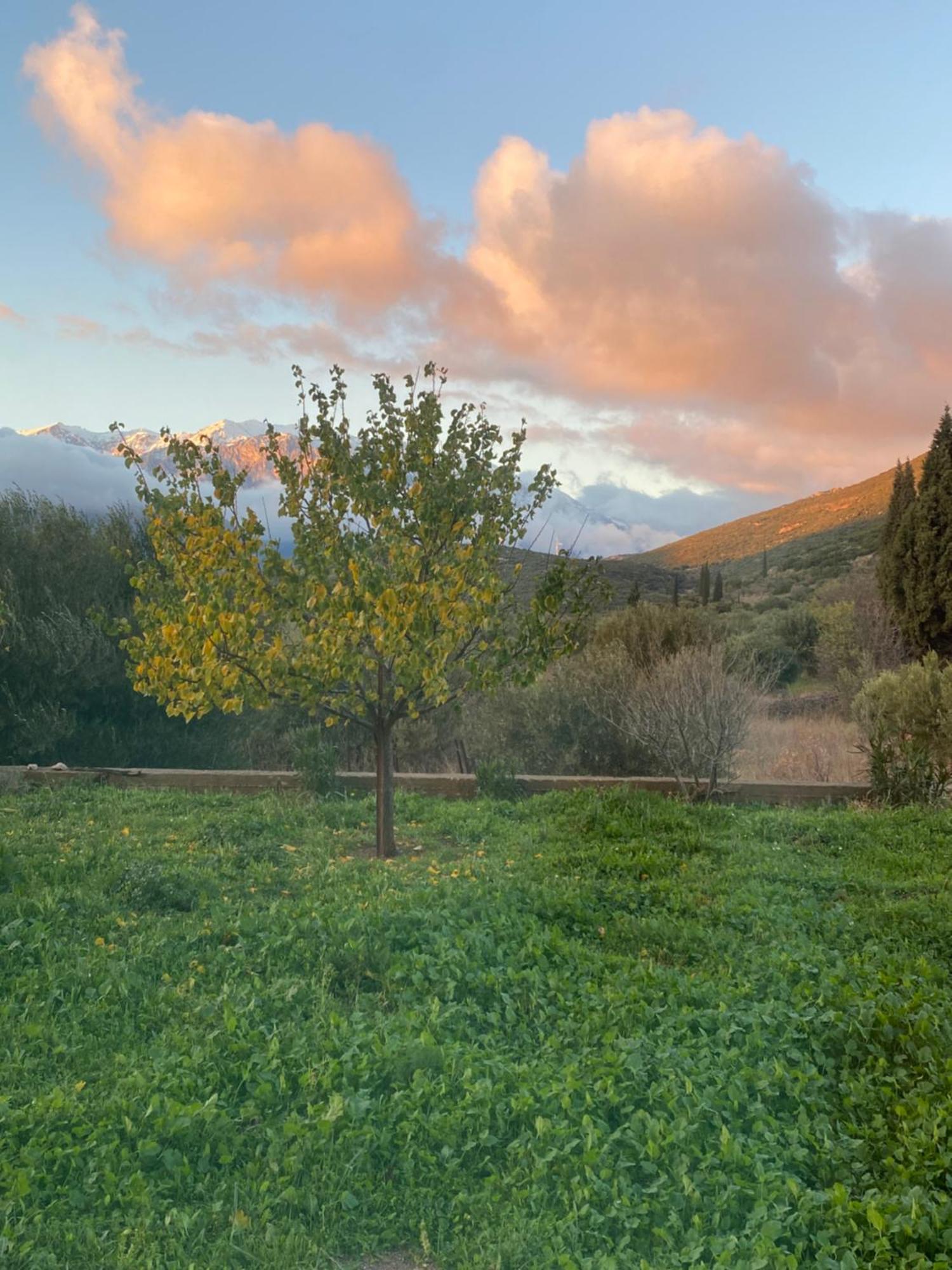 Stellas Guesthouse Near Arachova Stírion Kültér fotó